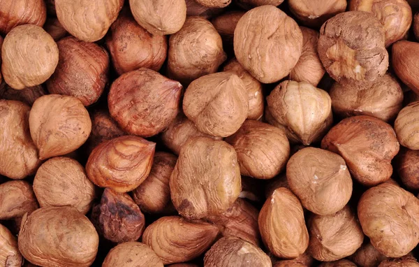 Hazelnut background. Healthy eating vegetarian nut food hazelnut — Stock Photo, Image