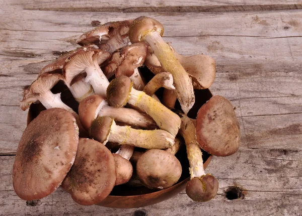 Setas comestibles del bosque en la cesta de mimbre en la tapa de madera vieja del tablero — Foto de Stock