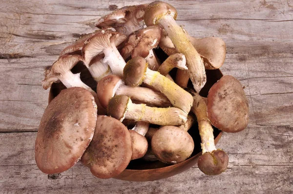 Setas comestibles del bosque en la cesta de mimbre en la tapa de madera vieja del tablero — Foto de Stock