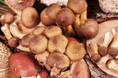 Orman mantar ahşap arka plan üzerinde bir hasır plaka.