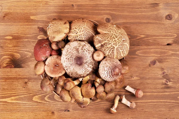 Setas del bosque en un plato de mimbre sobre un fondo de madera . — Foto de Stock