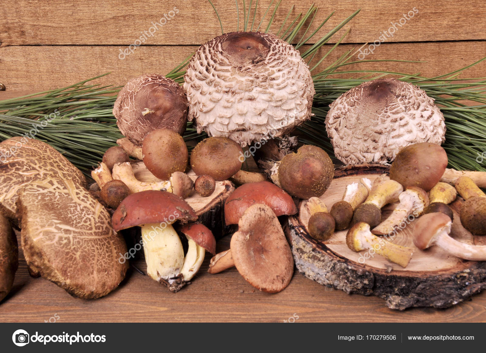 Cogumelos florestais em variedades diferentes em uma mesa ...