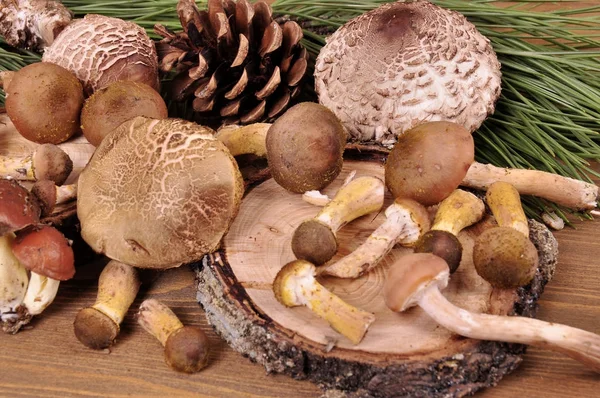 Las setas de bosque en las variedades diferentes sobre la mesa de madera . — Foto de Stock
