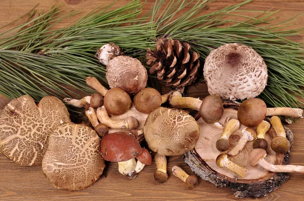Las setas de bosque en las variedades diferentes sobre la mesa de madera . — Foto de Stock