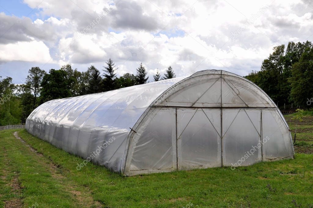 large greenhouse made of polycarbonate in the field on the backg