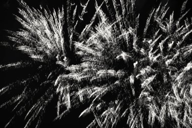 Siyah arka planda siyah ve beyaz şenlikli havai fişekler