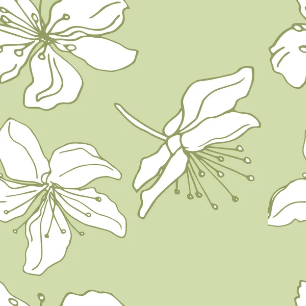 Patrón Inconsútil Vector Flores Blancas Sobre Fondo Delicado — Vector de stock