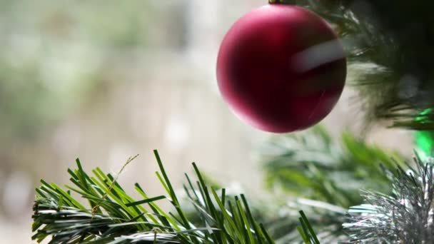 Brinquedo de árvore de natal vermelho pendurado em uma árvore de Natal no fundo da janela, onde a queda de neve borrada é visível outside.christmass e clima de férias do ano novo, conforto em casa e férias do ano novo em família — Vídeo de Stock