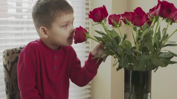 Pequena criança feliz cheira e gosta das rosas vermelhas que estão no vaso na mesa. Rapaz sorri e cheira as flores — Vídeo de Stock