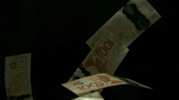 Siyah arka planda uçan Amerikan doları banknotları. Yüksek kalite düşen dolar banknotları