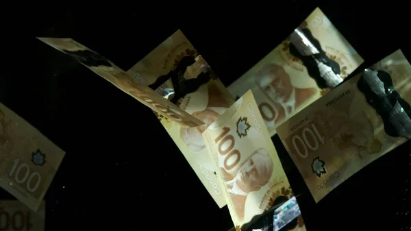 Siyah arka planda uçan Amerikan doları banknotları. Yüksek kalite düşen dolar banknotları