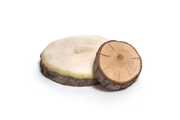 Cut of a tree on a white background — Stock Photo, Image