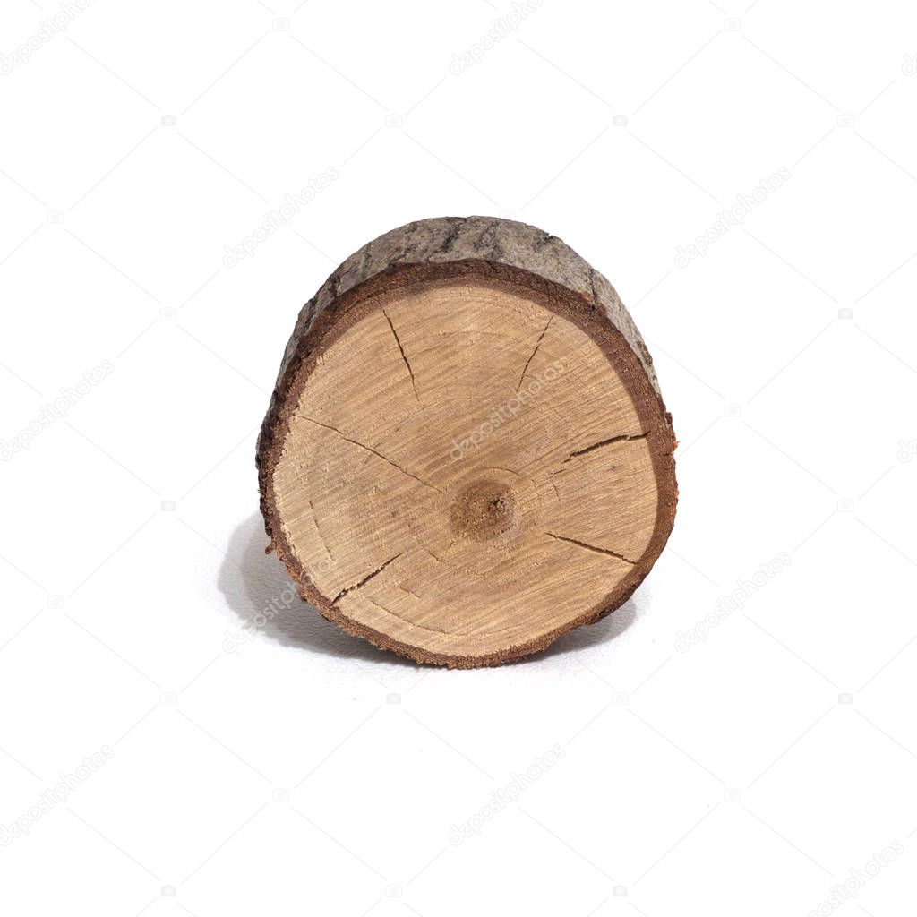 Cut of a tree on a white background