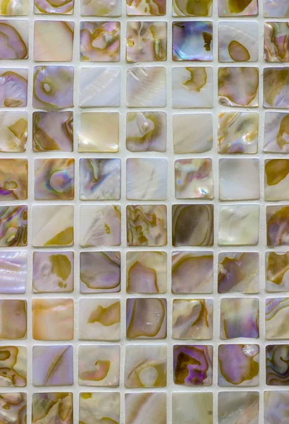 Telha brilhante de conchas, textura Fotos De Bancos De Imagens
