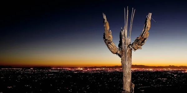 Saguaro Bones y Tucson City Lights — Foto de Stock