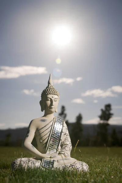Thai Buddha ve Grassy Field