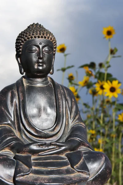 Buddha and Wild Flowers — Stock Photo, Image