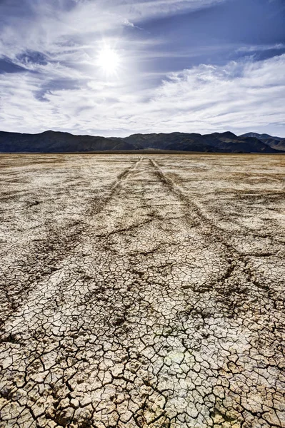 Tracks through Dry Lake Bed