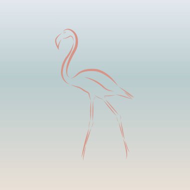 Tam büyüme degrade arka plan üzerinde pembe flamingo