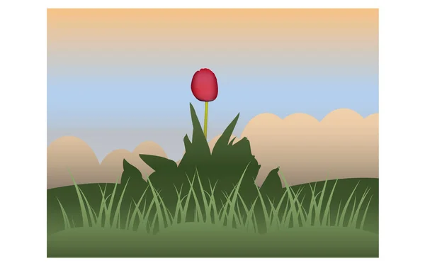 Red tulip against the sky and grass — Stock Vector