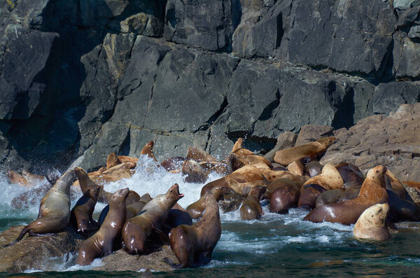 run to safe the life