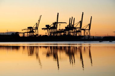 Gün doğumunda limanda deniz turnaları