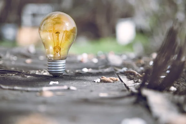 Bulb on grass — Stock Photo, Image