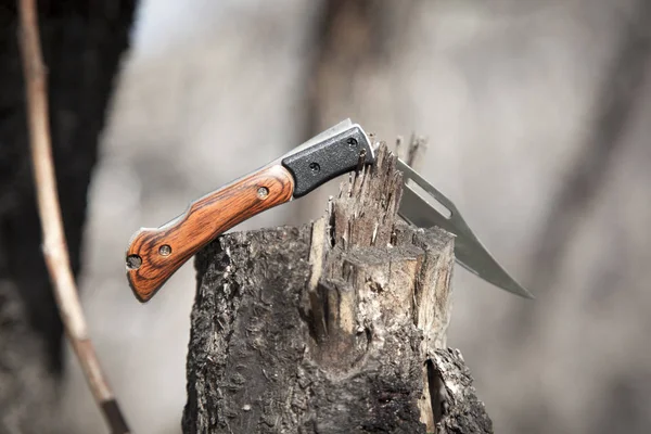 Knife on the log — Stock Photo, Image