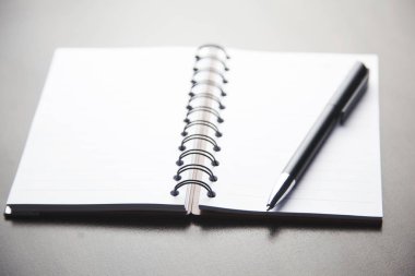 kalem ve not defteri