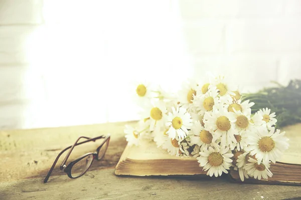 Chamomile and book — Stock Photo, Image