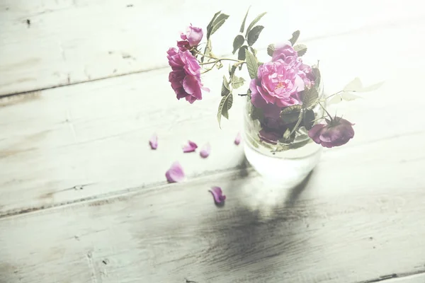 Cam vazoda güller — Stok fotoğraf