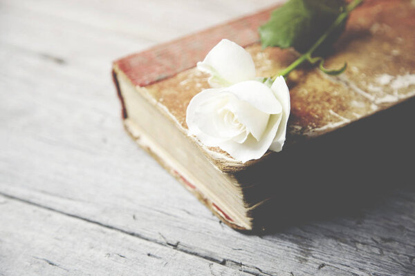 Rose on book on wooden table