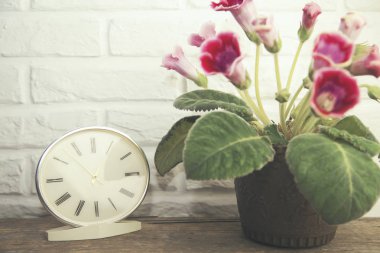 çiçek ve saat