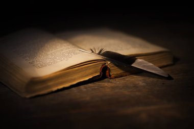 tüy ve kitap