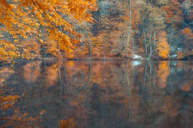 Sonbahar ağaçlar gölde yansıması ile
