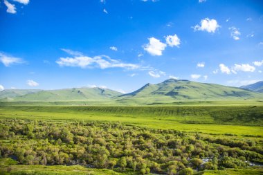 Mavi gökyüzü altında yeşil çayır