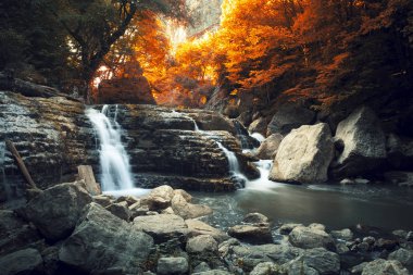 Renkli sonbahar ormandaki nehir dağ, güzel şelale