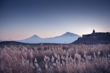 Ararat mountain and field in Armenia clipart