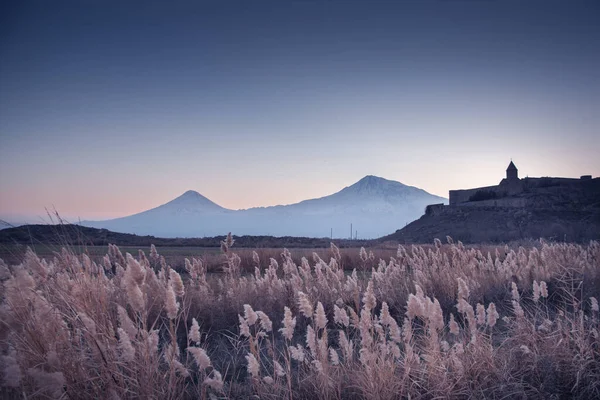 Ararat Montaña Campo Armenia — Foto de Stock