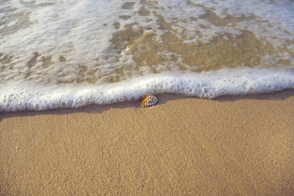 Onda Macia Oceano Azul Sandy Beach — Fotografia de Stock