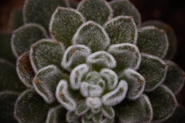 Ciel bleu, soleil on toile et feuilles d 'automne