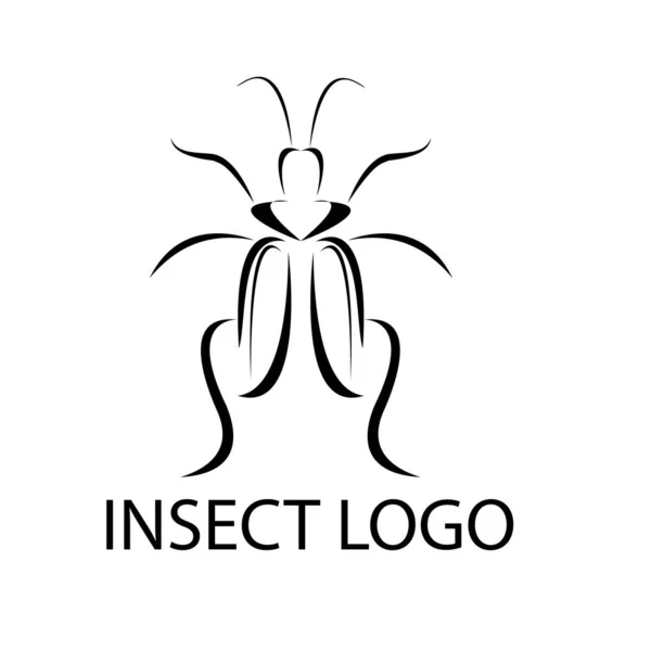 Icône de modèle de conception de logo insecte — Image vectorielle