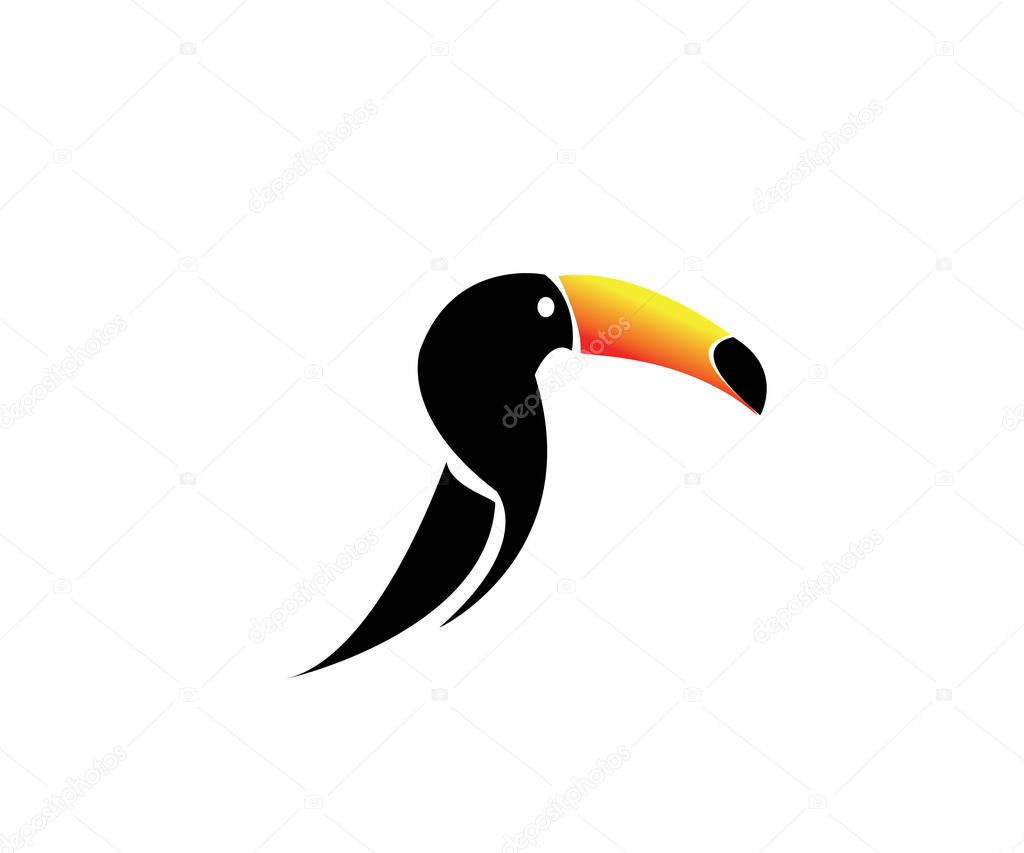 toucan bird vector logo design