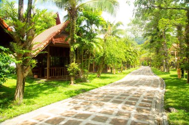 Palmiye ağaçları ile yol arasında Konuk evleri. Tayland