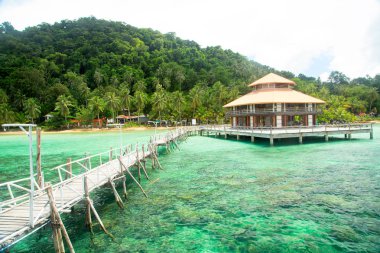 Ahşap iskele ile güzel tropikal plaj manzara