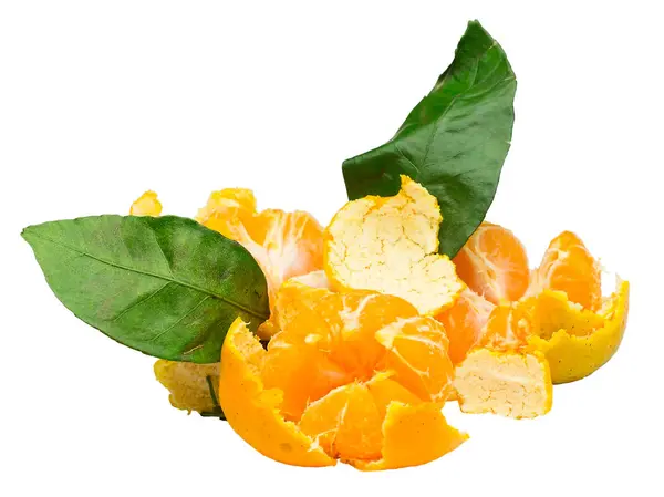 Högen av färska mogna mandarin med små kvistar och blad. — Stockfoto