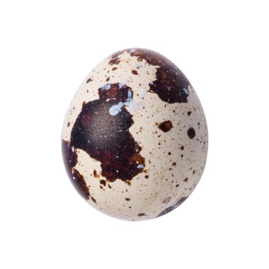 Bıldırcın yumurta izole