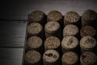 Tahta arka planda siyah beyaz çikolatalı trüf.