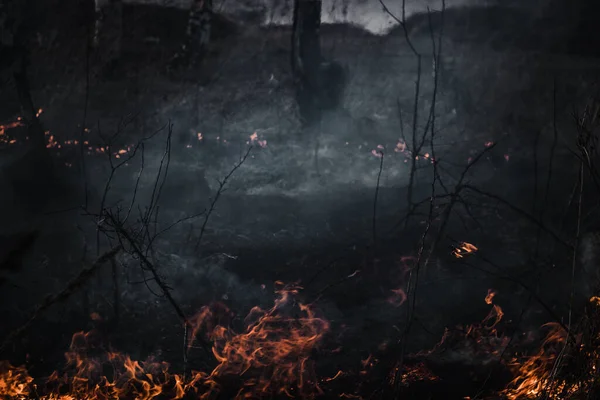 Flammen Auf Schwarzem Hintergrund — Stockfoto