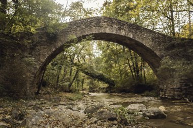 Ortaçağ köprüsü Sonbaharda ormanlık bir alanda
